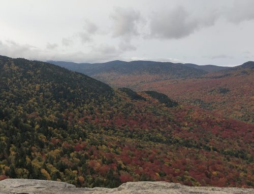New leader for Adirondack permitting agency