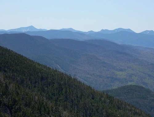 Conservationists eye Whitney Park in the Adirondacks