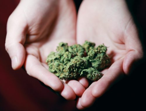 Marijuana regulators making steady progress