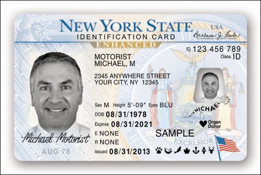 new york license 2022