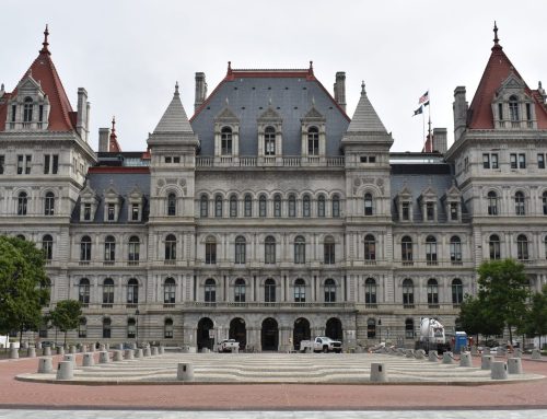 State council avoids critical analysis of Hochul’s budget proposal