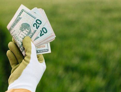 The role of New York’s Environmental Protection Fund