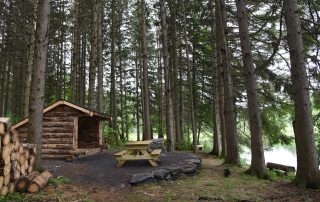 Adirondacks, forest, woods, nature, camping