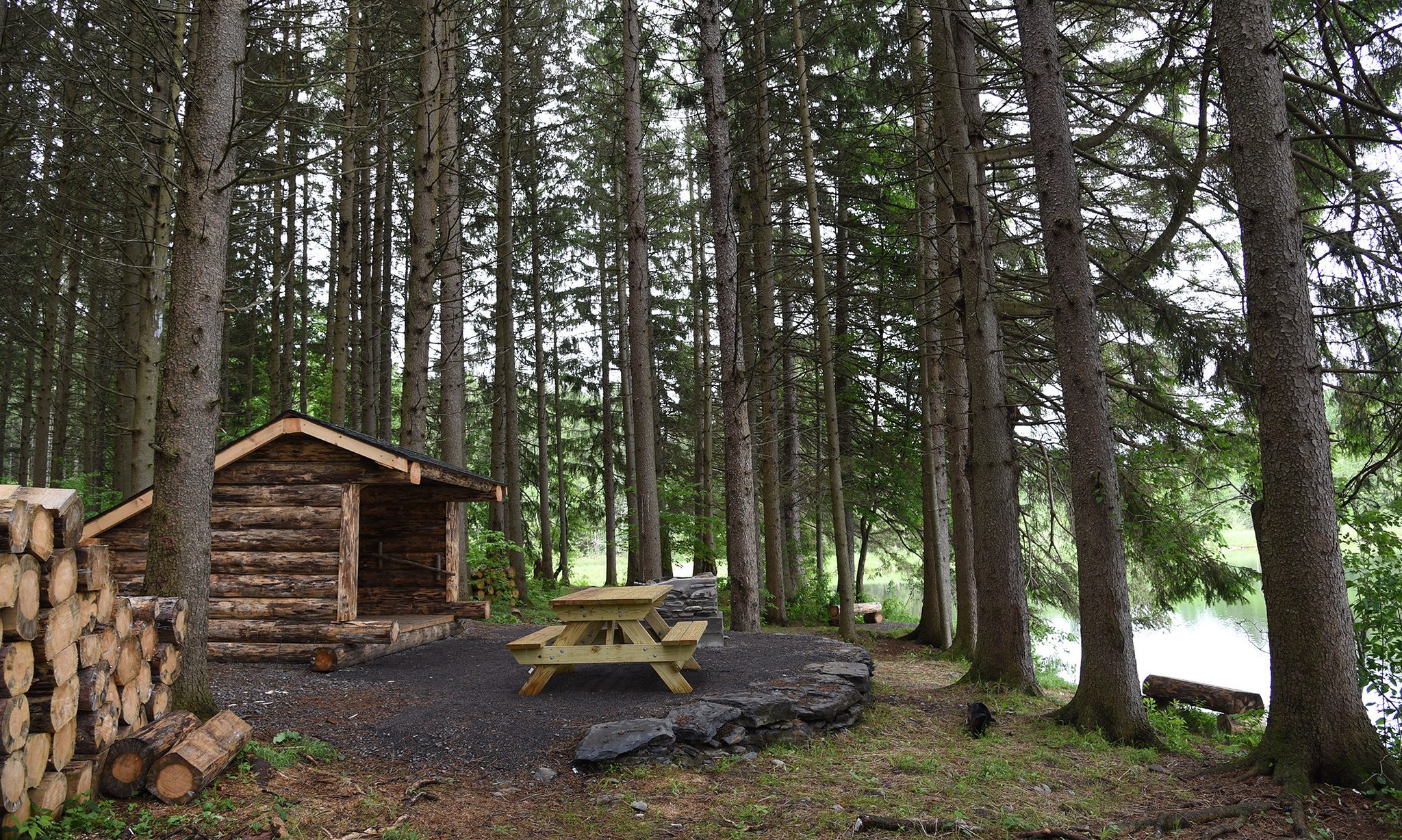Adirondacks, forest, woods, nature, camping