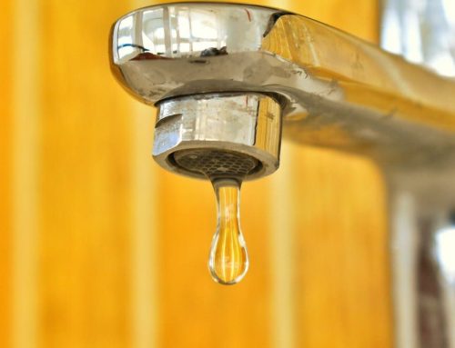 Local water authorities embark on lead service line replacements