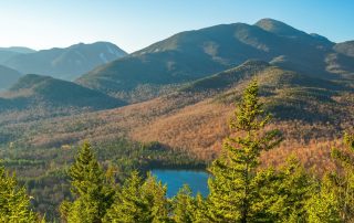 Nature, woods, lake