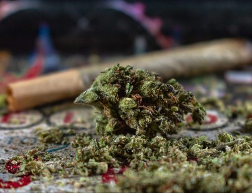 Harsh vibes from New York’s marijuana rollout