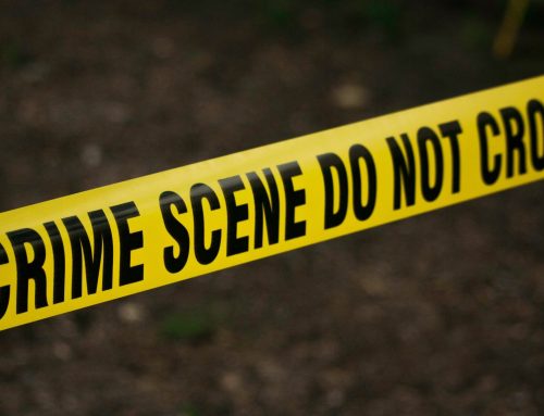 Crime, bail and the 2022 data set for New York