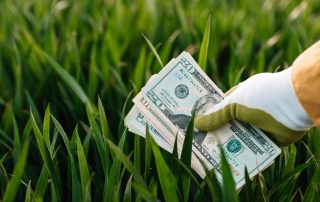 Environmental Bond Act, Green