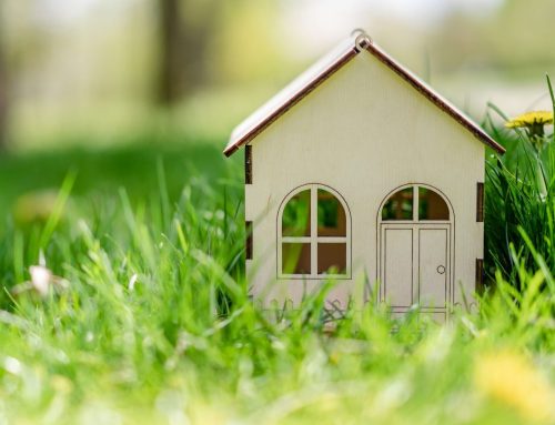 Independent living opportunities for mentally ill New Yorkers