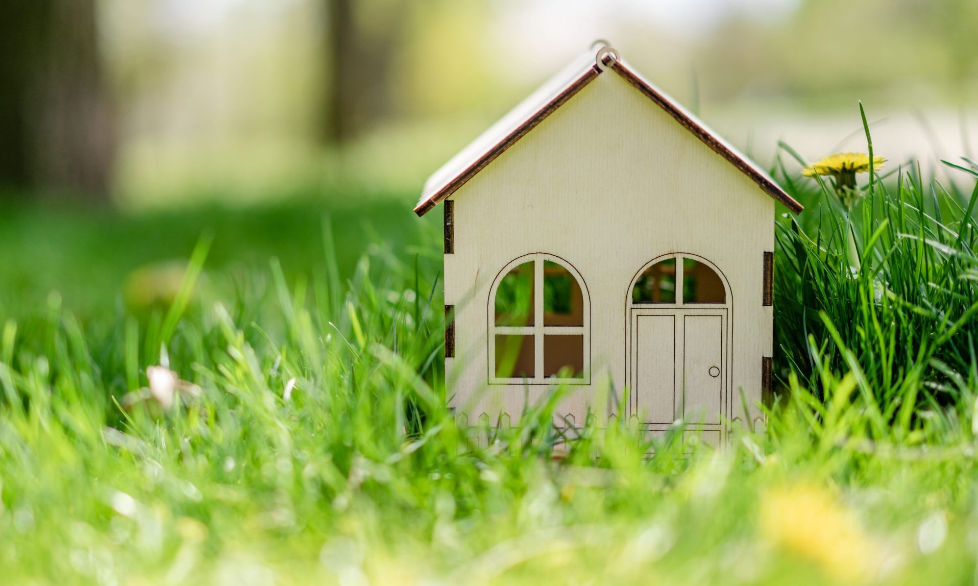 Rethinking Community Housing For People With Mental Illness The 