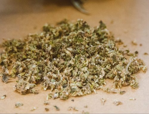 State cannabis regulators promote equity for marijuana retailers