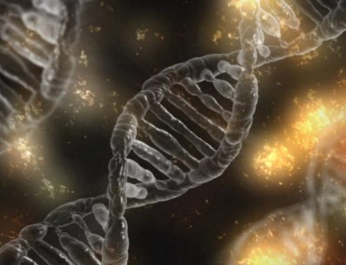 Disconnecting DNA tests from insurance coverage costs