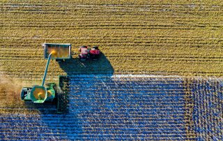 tractor, corn, pesticides, agricultural