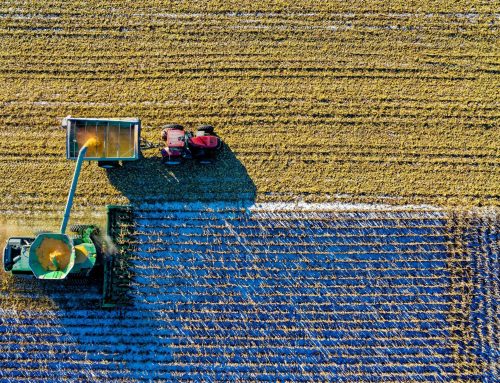 New York’s farming community priorities for 2026