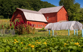 Agriculture, farm