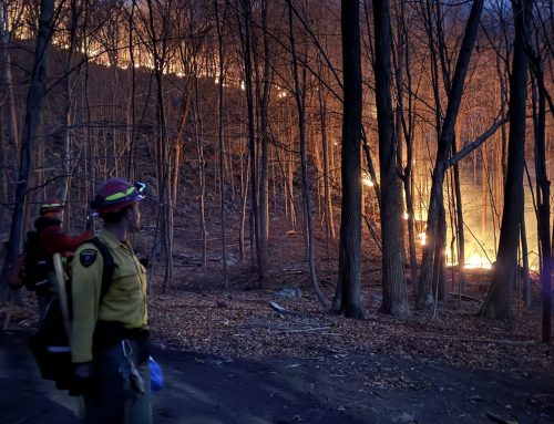 State forest rangers battle historic wildfire