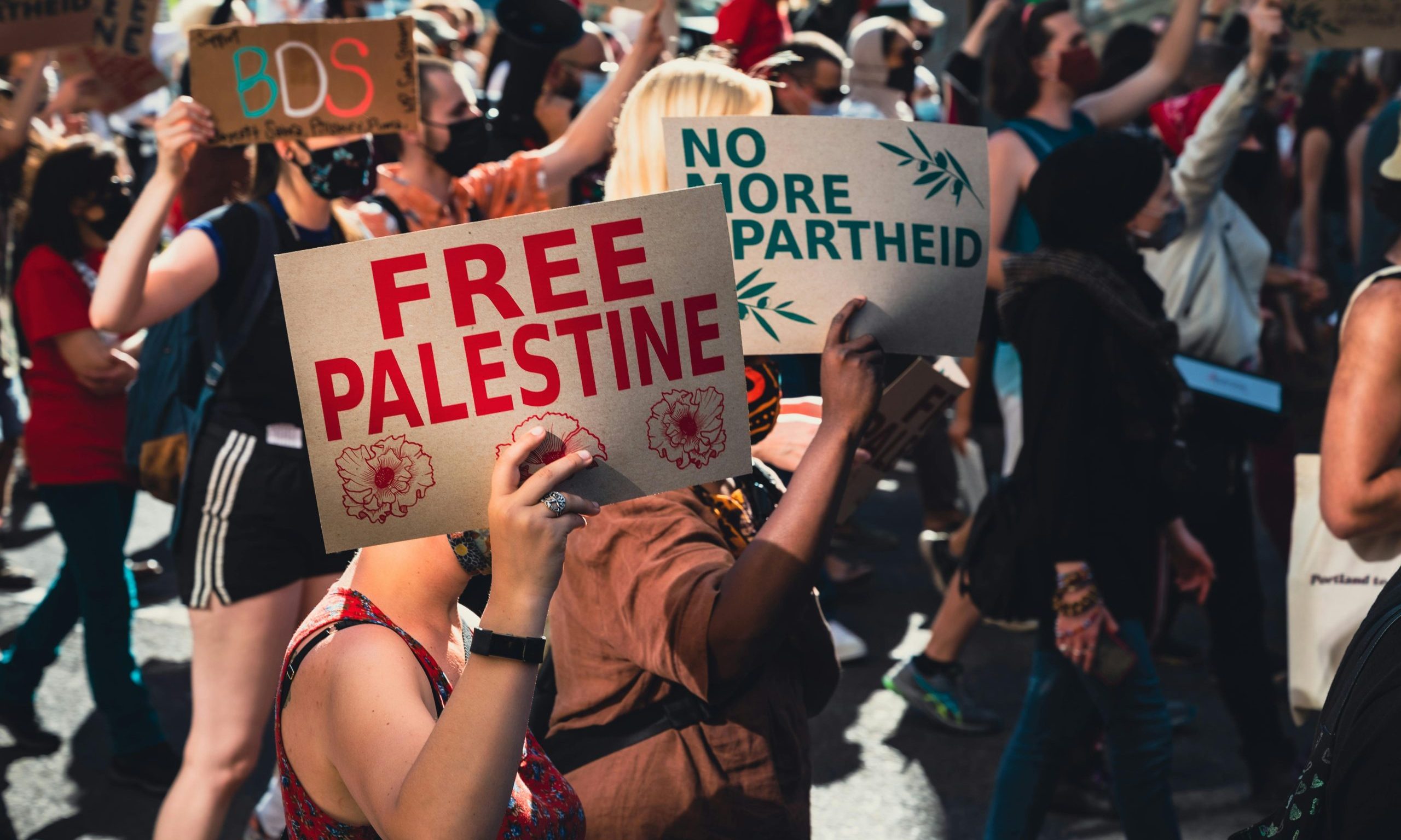 protest, Israel , masks