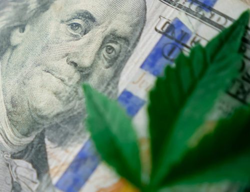 State marijuana regulator on banking services and NY-grown products