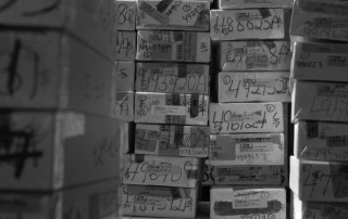 Rape kit, sexual assault, victim