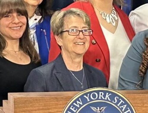 Assembly environmental leader discusses her priorities