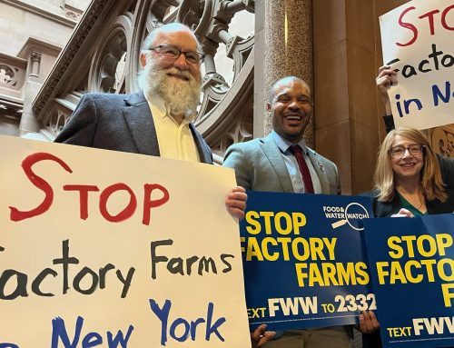 Environmentalists want cap on dairy ‘factory farms’