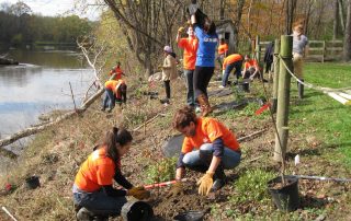 tree, rover, nature, water, , volunteers, creek, senior, elderly, Teen