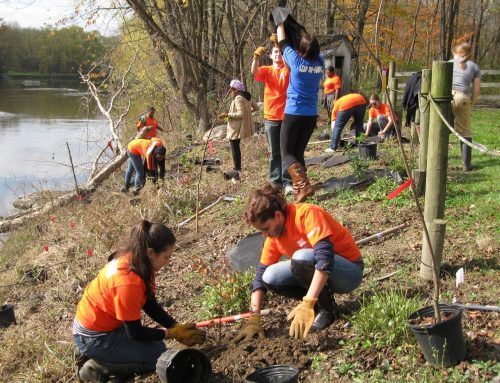 Promoting trees along New York tributaries