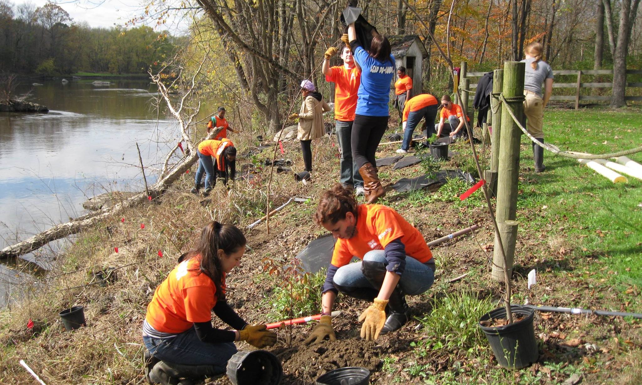 tree, rover, nature, water, , volunteers, creek, senior, elderly, Teen