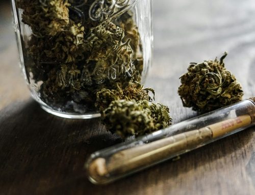 State cannabis advisor on evolving marijuana landscape