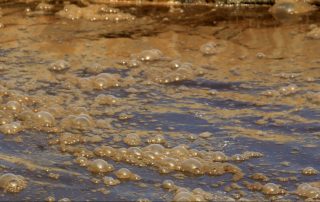 biosolids waste