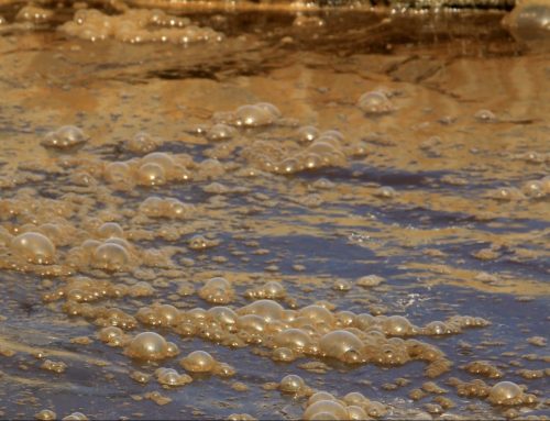 Red flags raised about treated waste used by farmers