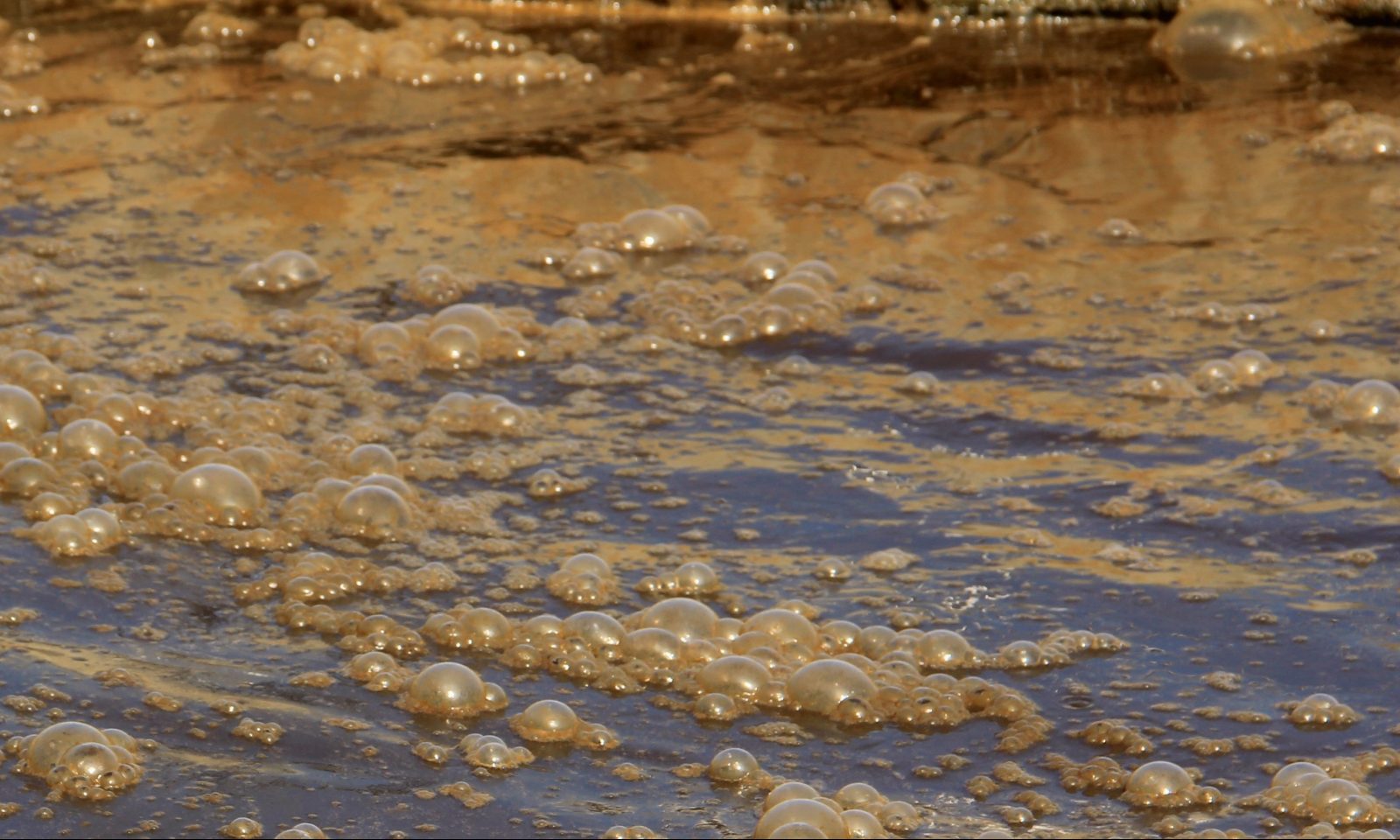 biosolids waste