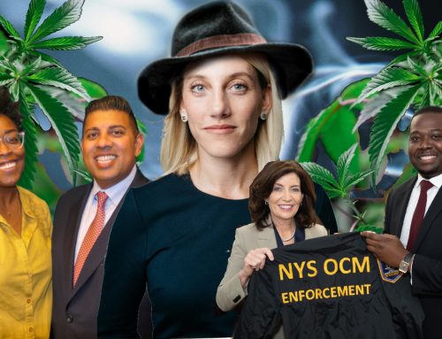Navigating the chaos of the cannabis industry