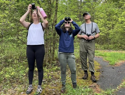 New York expands state birding trail