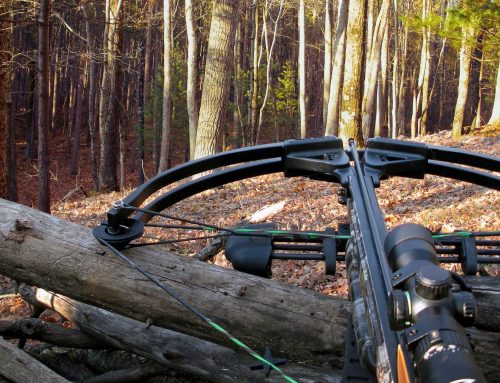 Crossbows could become more prevalent in New York
