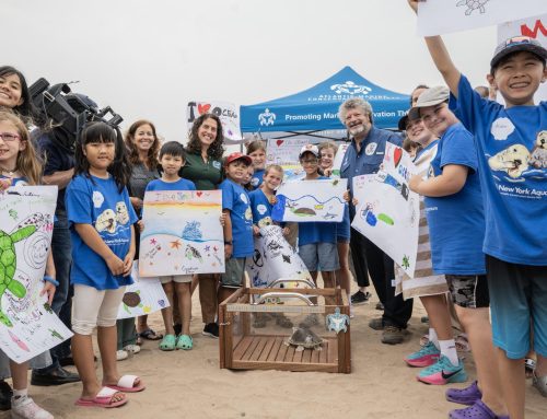 State support key to marine conservation efforts