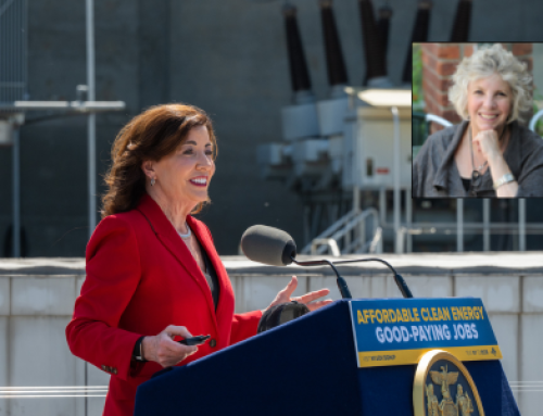 Hochul looks to cut home energy efficiency subsidies
