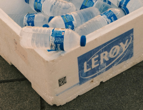New York poised to restrict disposable Styrofoam coolers