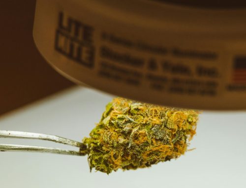 State cannabis regulator discusses oversight compliance