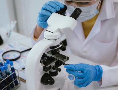 NY medical schools want major investment from state