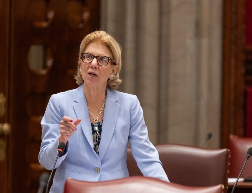 Senator Shelley Mayer discusses education and immigration