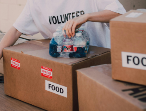 Federal changes drive demand for NY food support