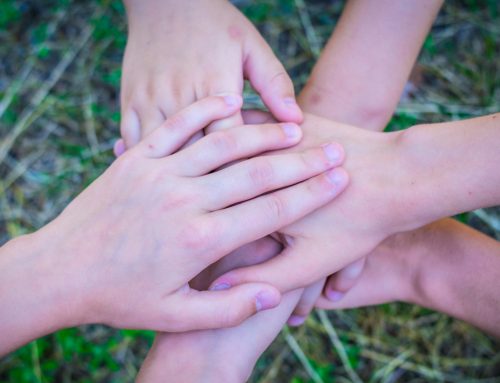 Debate over public support for private special education service