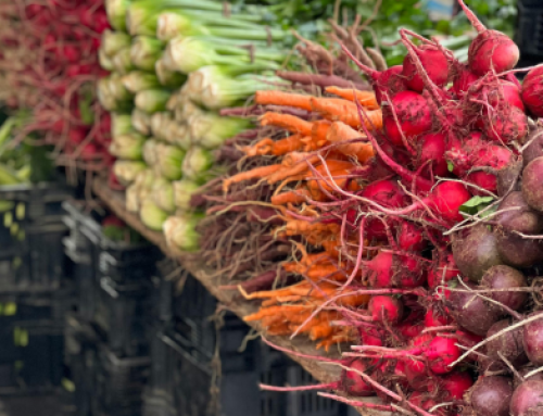 Prolific ‘forever chemicals’ find their way into produce