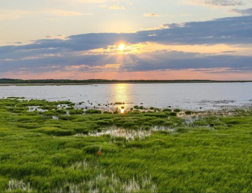 Court ruling jeopardizes new layer of wetland protections