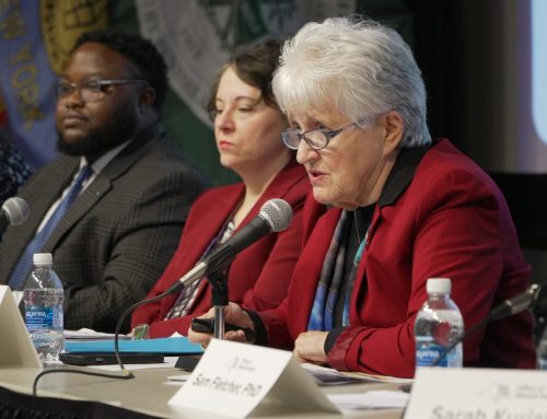 Assessing the landscape of mental health care in New York