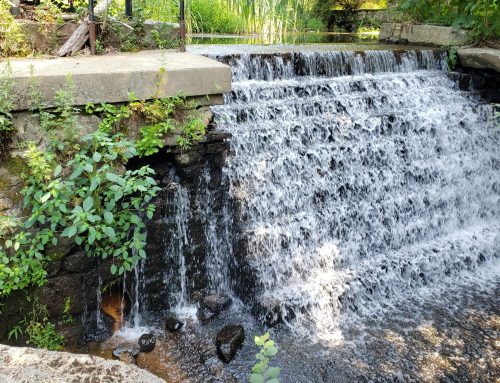 The state of New York’s dams