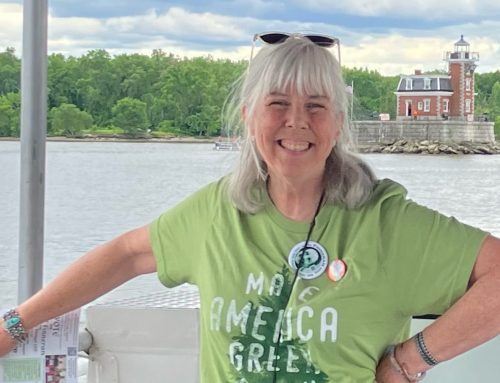 Democrat vying for red Assembly seat pushes progressive agenda