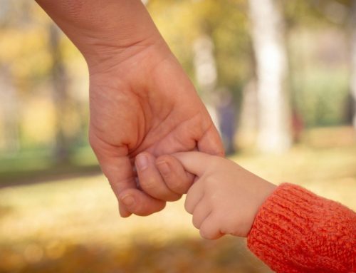 New York’s top court invalidates ‘shadow’ foster care program